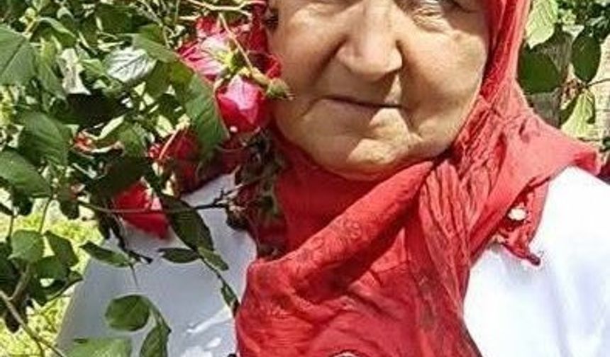 Annesini toprağa verdikten bir gün sonra kalp krizi geçirip öldü