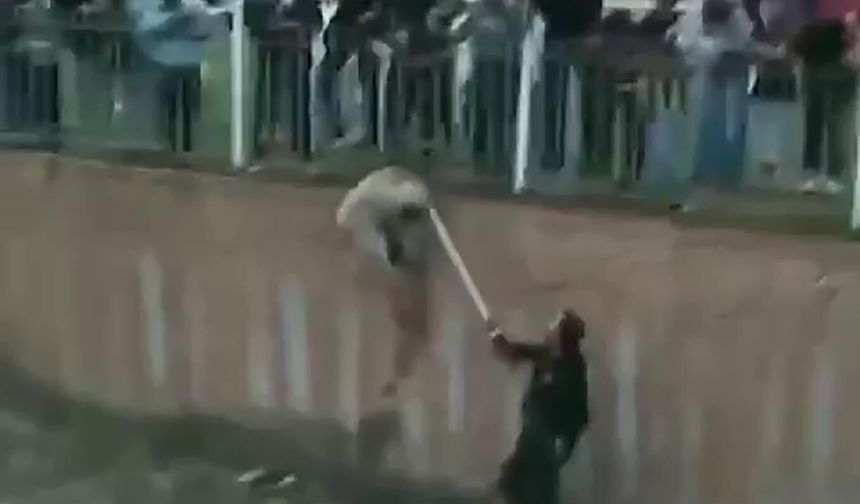 Çar Çayı'na düşen köpeği, elini ısırmasına rağmen kurtardı