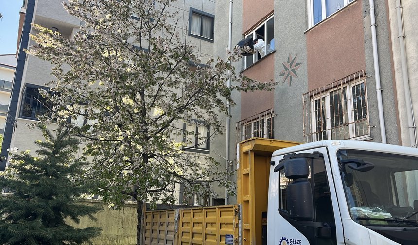 Çöp evden çıkarılıp, barınma merkezine yerleştirildi; görünümü değişti