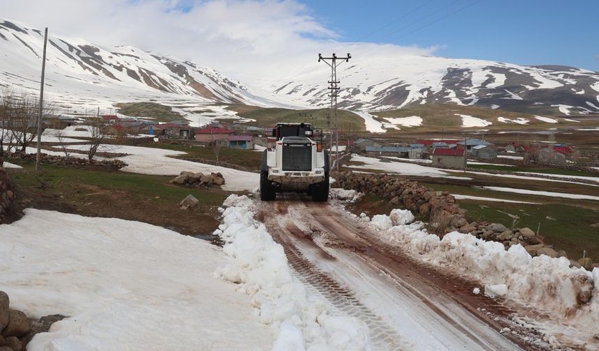 Doğu'nun Çukurova'sı Iğdır'da mayıs ayında karla mücadele