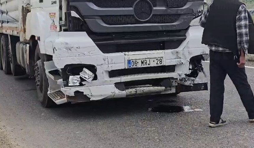 Hayvan yüklü kamyon, 2 otomobile çarptı; 2 yaralı