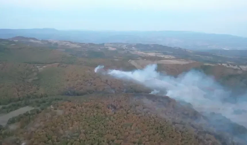 Kocaeli'de ormanlara giriş yasaklandı