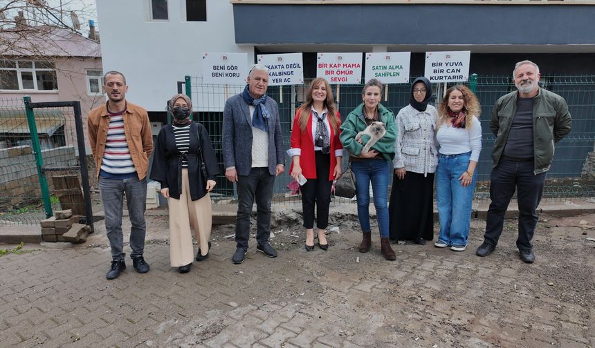 Kurdukları dernekle ev kiralayıp, sokak kedilerine yuva oldular