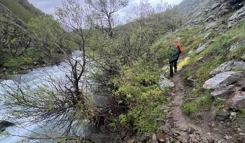 Muş'ta çaya düşen kadını arama çalışmaları sürüyor