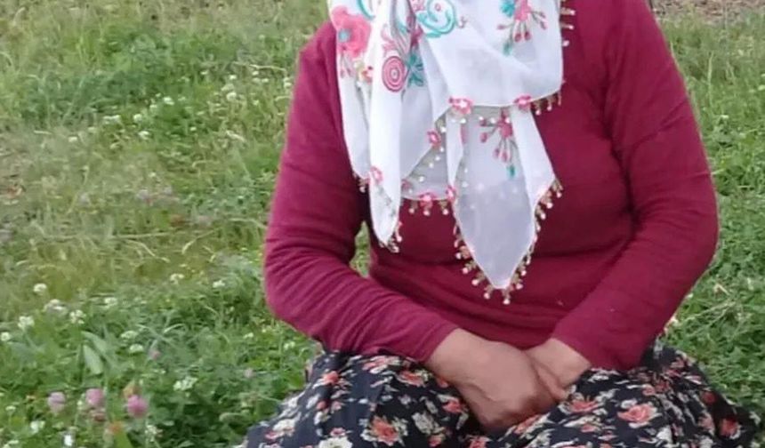 Muş'ta dereye düşen Gülsima aranıyor