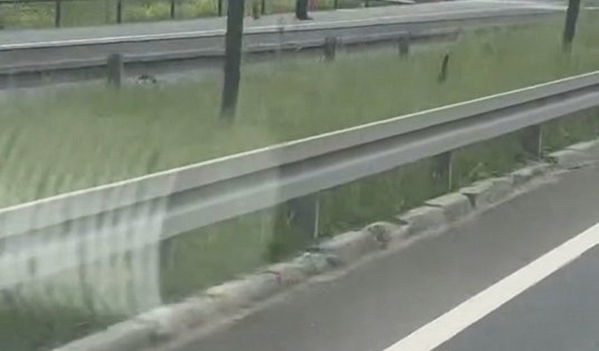 Seyir halindeki hafif ticari araç alev alev yandı