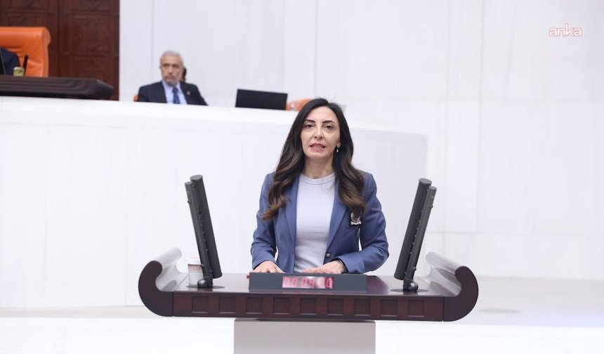 CHP’li Kayışoğlu TBMM’de Yurt Dışındaki Vatandaşların Sorunlarını Gündeme Taşıdı
