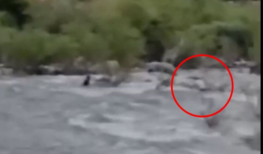 Akıntıya kapılıp kaybolan Vedat'ı arama çalışmaları 8'inci gününde; çayın yönü değiştirildi