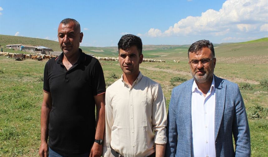 Aksaray'da 'ithal çoban' dönemi