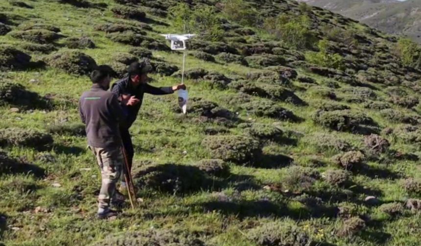 Arazideki çobanlara dronla 'şeker' gönderdiler