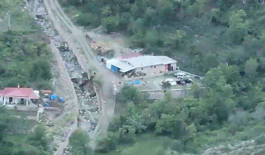 Artvin'de 'horoz dövüşü' operasyonu; 39 kişiye toplam 508 bin 248 TL ceza