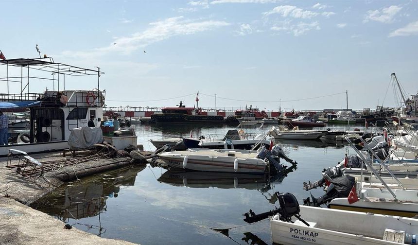 Denizden otomobil lastikleri, balıkçı ağları ve demir borular çıktı