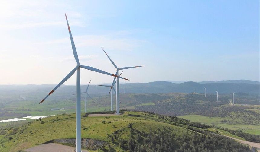 Enerjisa Üretim CEO'su Bayçöl'den Dünya Yenilenebilir Enerji Günü mesajı