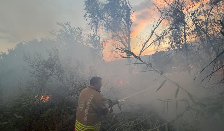 Hatay'da anız yangınında alevler bahçelere sıçradı