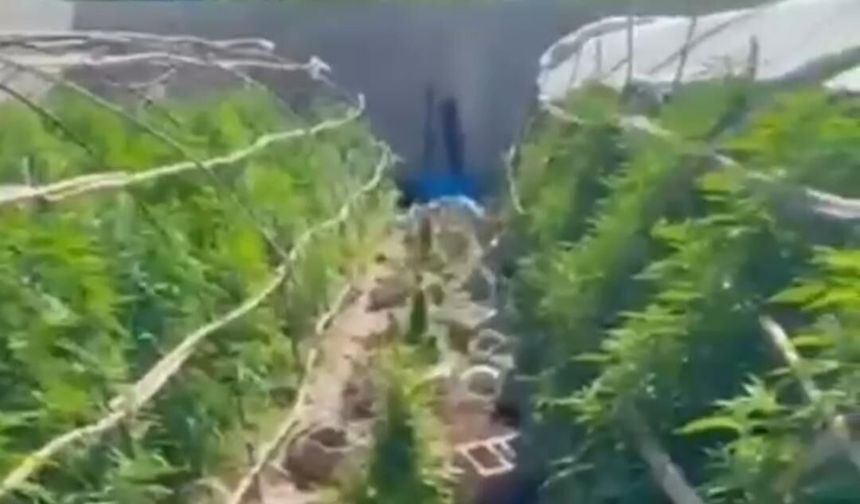 Hatay'da uyuşturucu operasyonu: 6 kişi tutuklandı