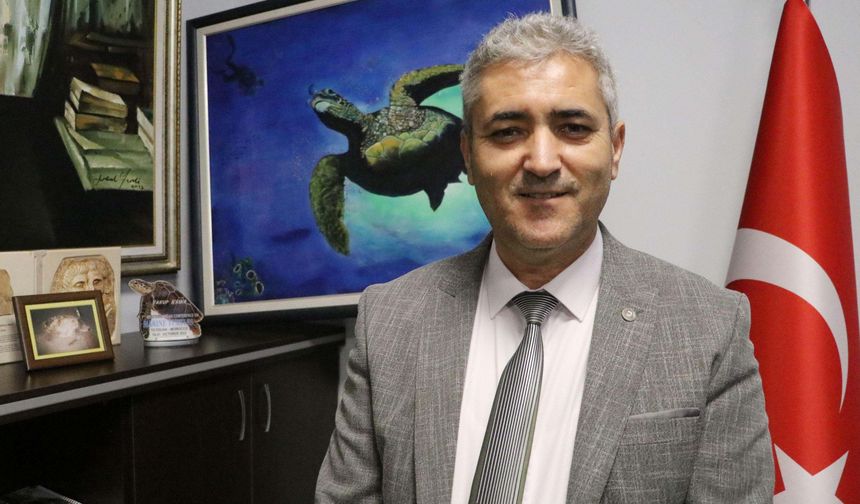 İztuzu Plajı'nda caretta caretta yuva sayısı 100'e ulaştı