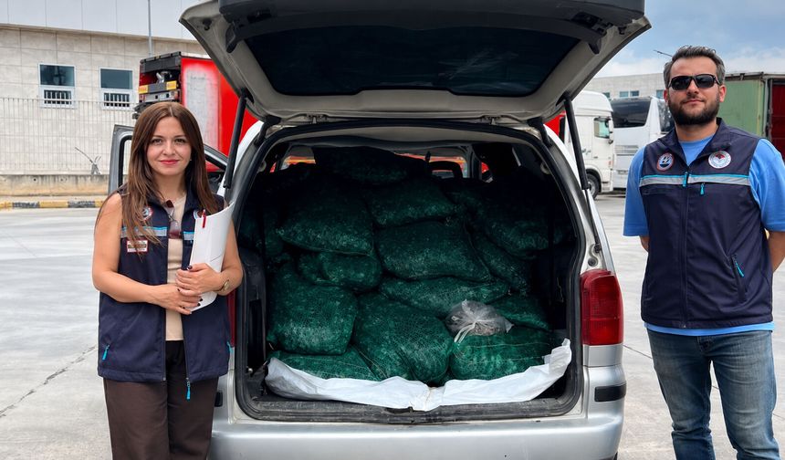 Kapıkule'de 840 kilogram canlı kum midyesi ele geçirildi