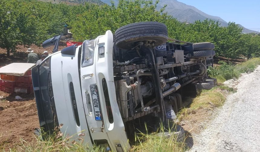 Malatya'da tavuk yüklü kamyon devrildi