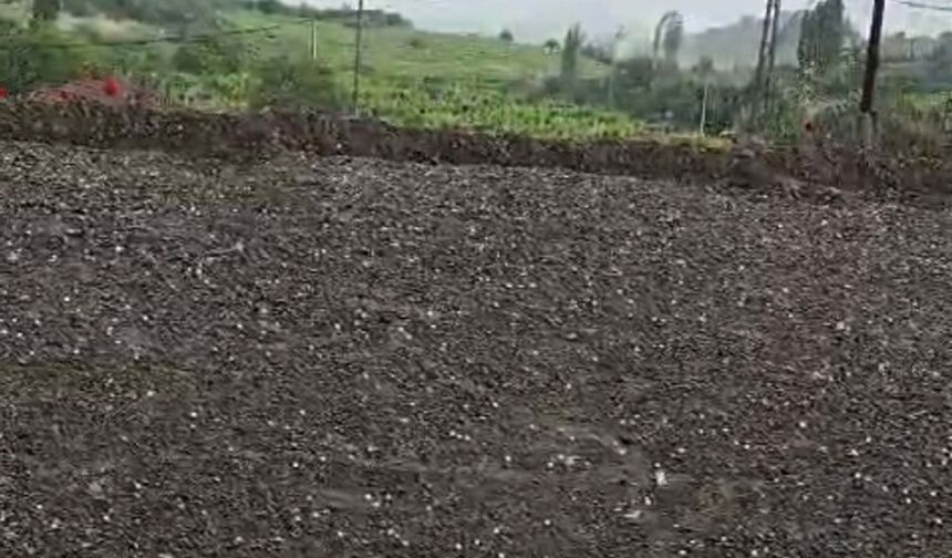Manisa'da dolu yağışı tarım alanlarına zarar verdi