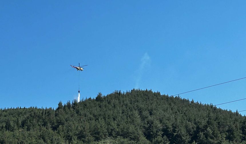 Manisa'da orman yangını