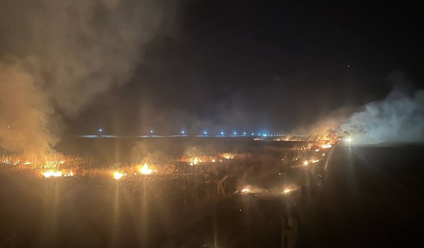 Mardin'de anız yangını, yerleşim yerine de sıçradı (4)