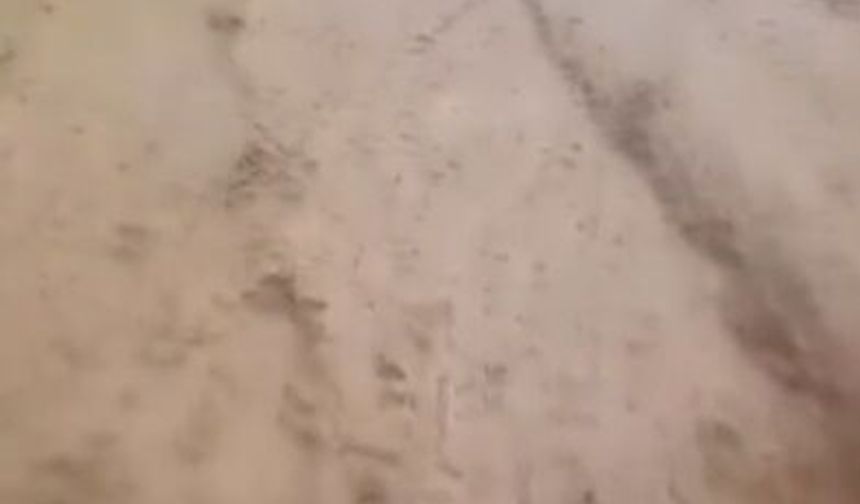 Niğde'de dolu yağışı etkili oldu