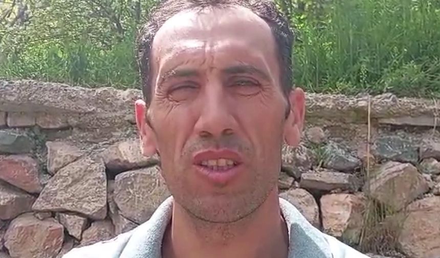 Nöbet tuttuğu güvenlik kulübesinin önüne 2 yavru bozayı geldi