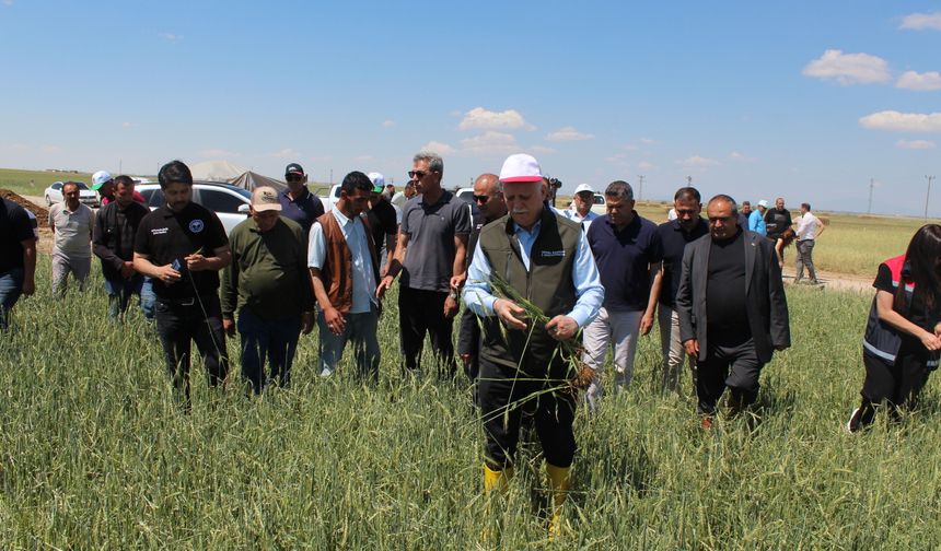 TZOB Genel Başkanı Bayraktar: Buğday rekoltesinin 23 milyon tona yaklaşmasını bekliyoruz
