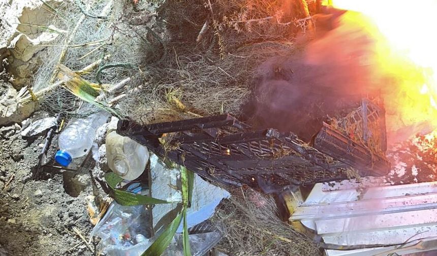 Van Gölü'nde kaçak avlanan 400 kilo inci kefali suya bırakıldı