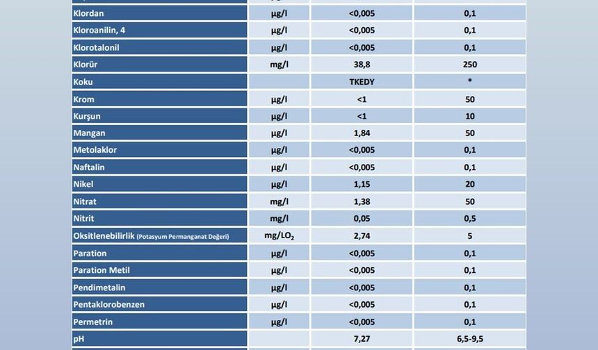 ABB'den 'şebeke suyu' açıklaması