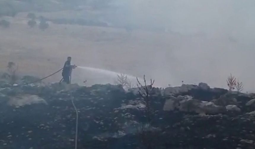 Adıyaman'da orman yangını; söndürme çalışmaları sürüyor