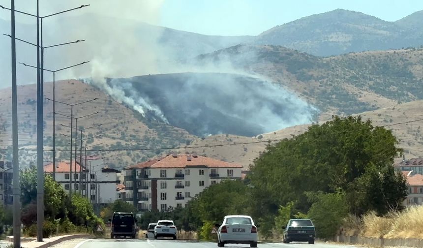 Afyonkarahisar'da orman yangını