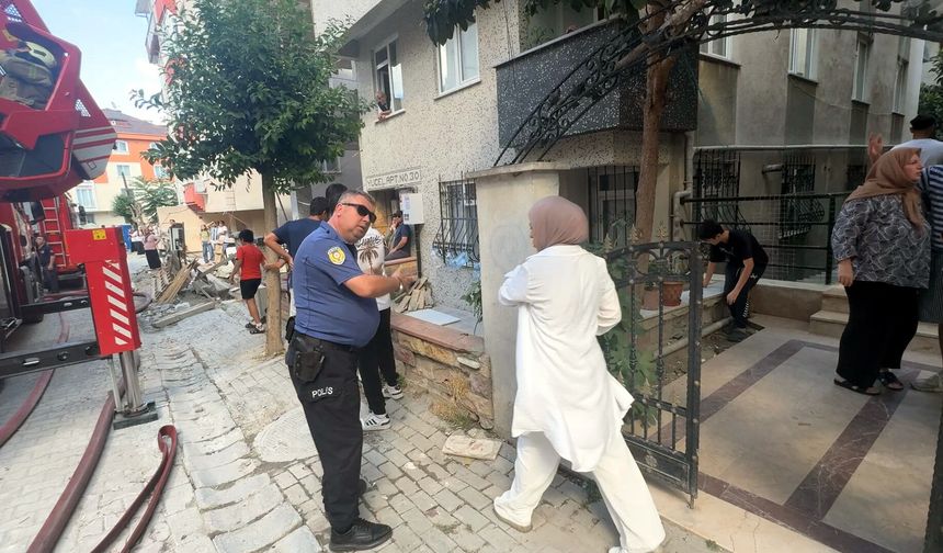 Avcılar'da çatı katında çıkan yangında 10 kedi öldü; 2 kedi çatıdan atladı