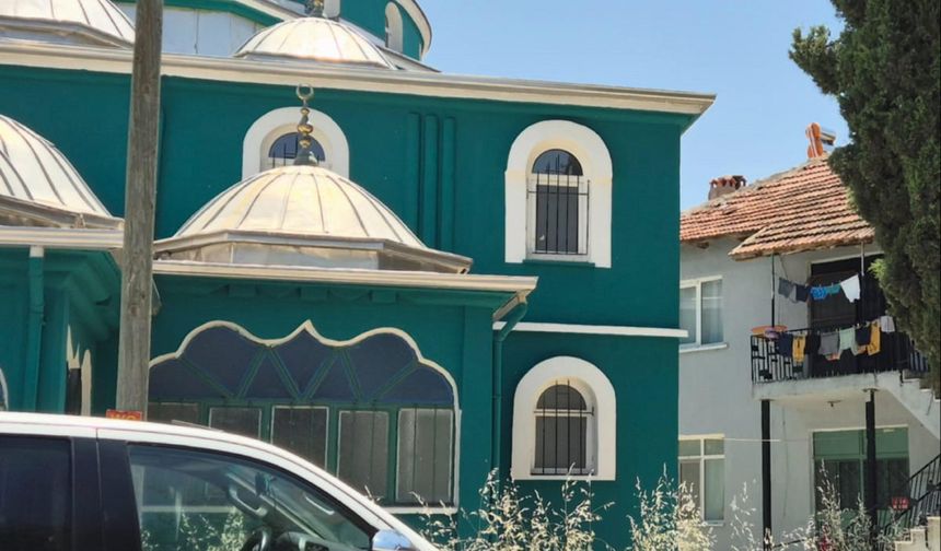 Ayağına ip dolanan yavru leylek kurtarıldı