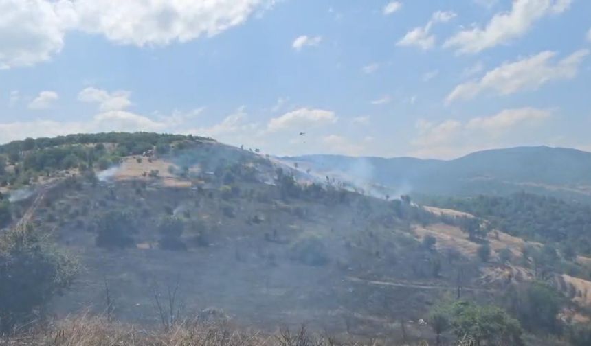 Bilecik'te tarım arazisinde yangın (2)