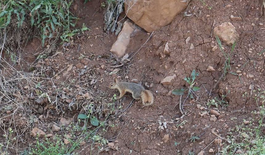 Bitlis'in saklı cenneti Hizan, doğaseverlerin yeni rotası oldu