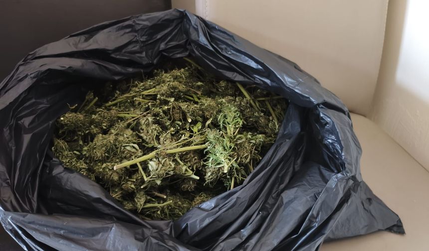 Bursa'daki uyuşturucu operasyonunda yönetmen Ezel Akay ve kardeşi gözaltına alındı