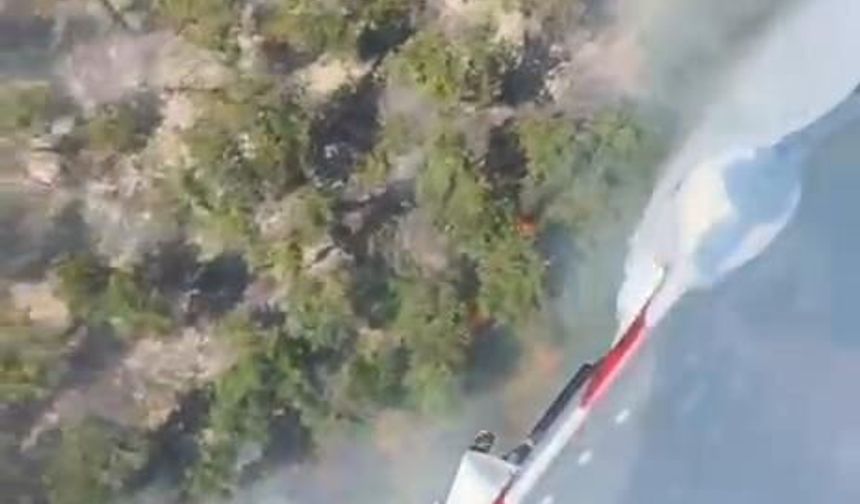 Çatalca'da orman yangını-1
