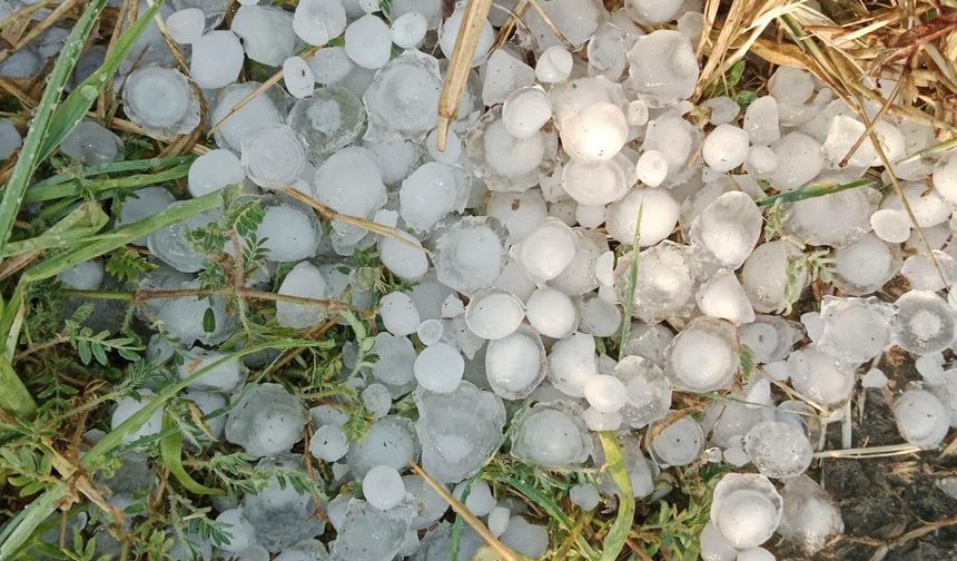 Edirne'de kuvvetli sağanak etkili oldu / Ek fotoğraflar