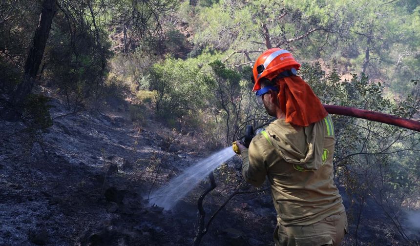 Fethiye'deki orman yangınının enerjisi düşürüldü (2)