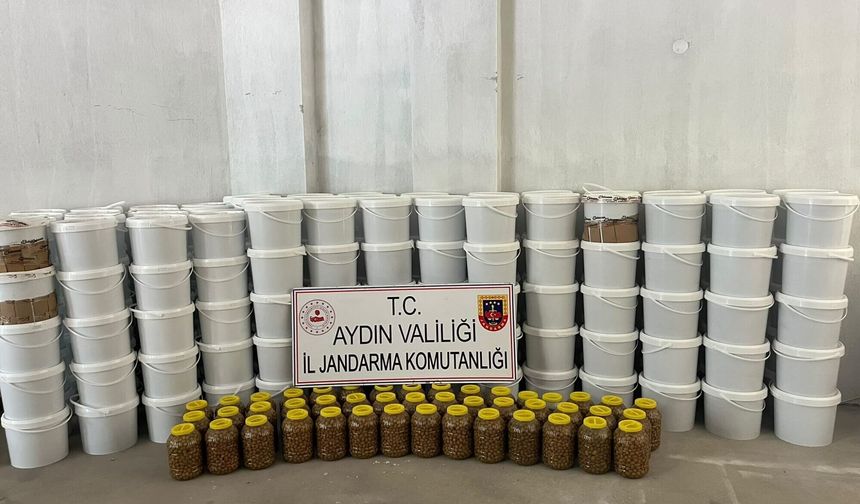 Hijyenik olmayan koşullarda üretilen tonlarca salçaya el konuldu