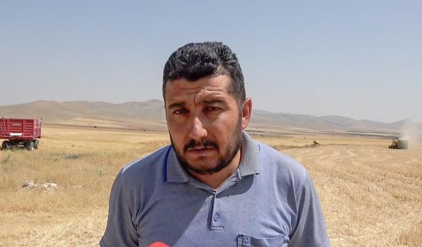 Hububatta, Cumhuriyet tarihinin en yüksek rekolte beklentisi
