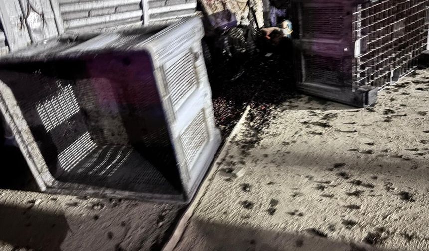 Kamyonetin traktöre ve bir tesisin duvarına çarptığı kaza kamerada: 1 ölü, 3 yaralı