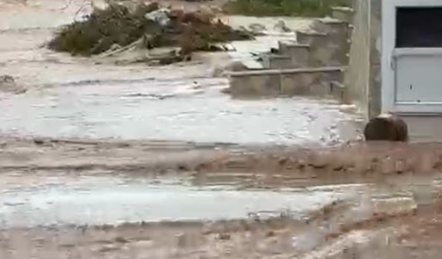 Kastamonu'da Cide'de sağanak; Devrekani Çayı taştı, ev ve iş yerini su bastı (4)