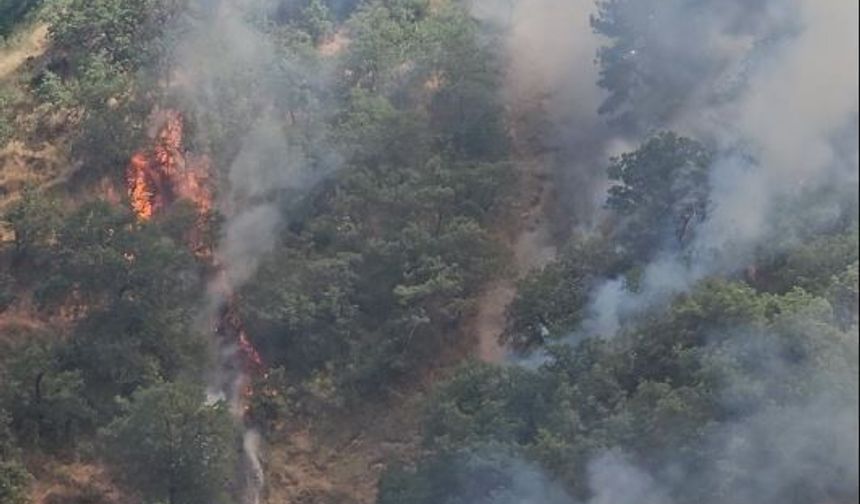 Kastamonu'da orman yangını