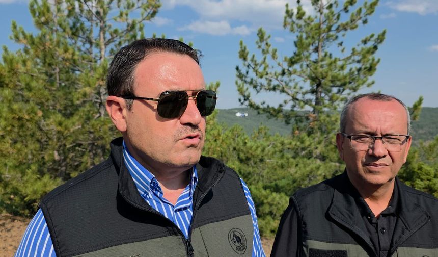 Kütahya'da orman yangını