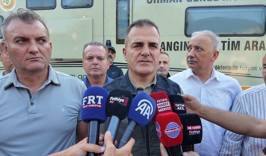 Muğla'daki yangınlarda 5 bin hektardan fazla alan zarar gördü (5)