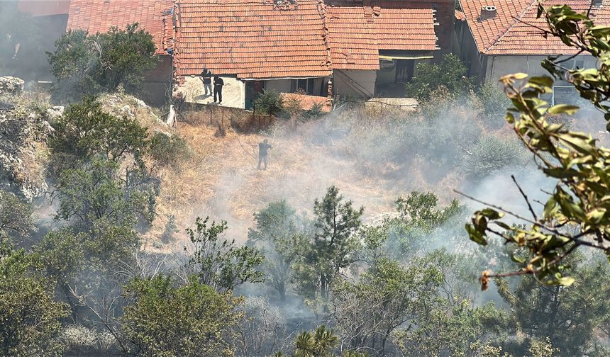 Tarihi Kütahya Kalesi çevresindeki otluk alanda yangın