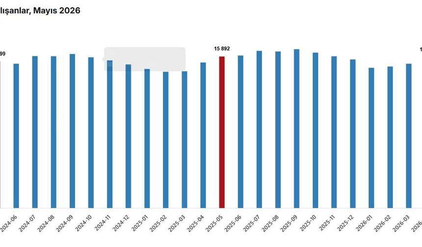 TÜİK: Ücretli çalışan sayısı yıllık yüzde 0,5 arttı