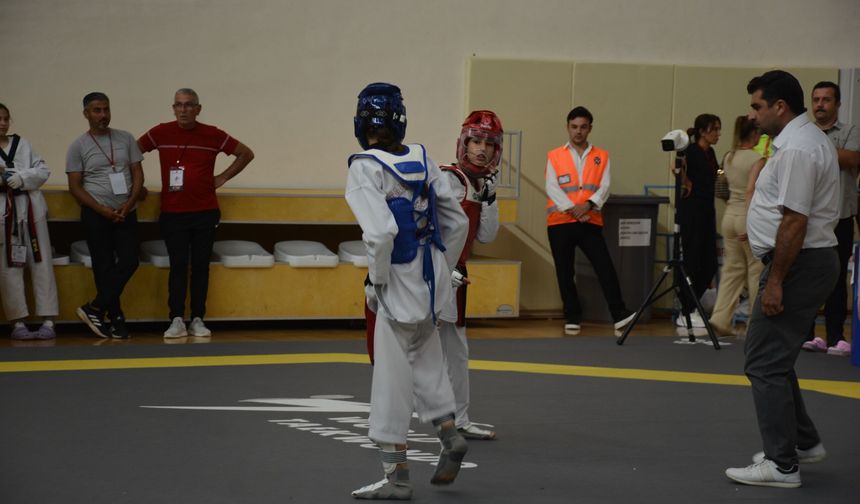 Türkiye Minikler Taekwondo Şampiyonası Sinop'ta başladı
